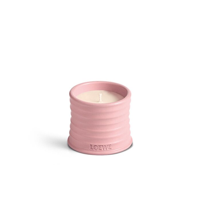 LOEWE Small Ivy Candle