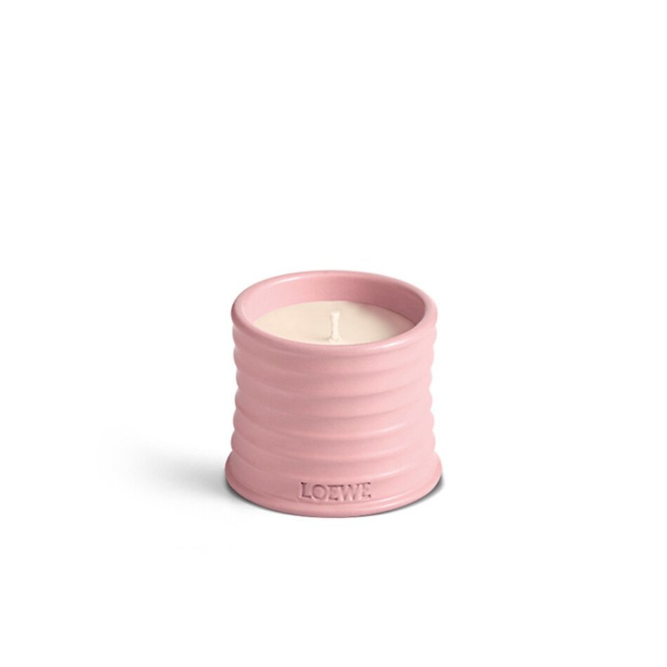 LOEWE Small Ivy Geurkaars