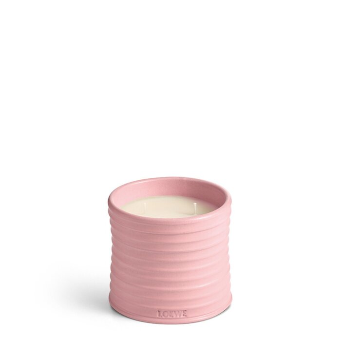 LOEWE Medium Ivy Geurkaars LOEWE Medium Ivy Geurkaars