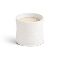 Medium Oregano Geurkaars