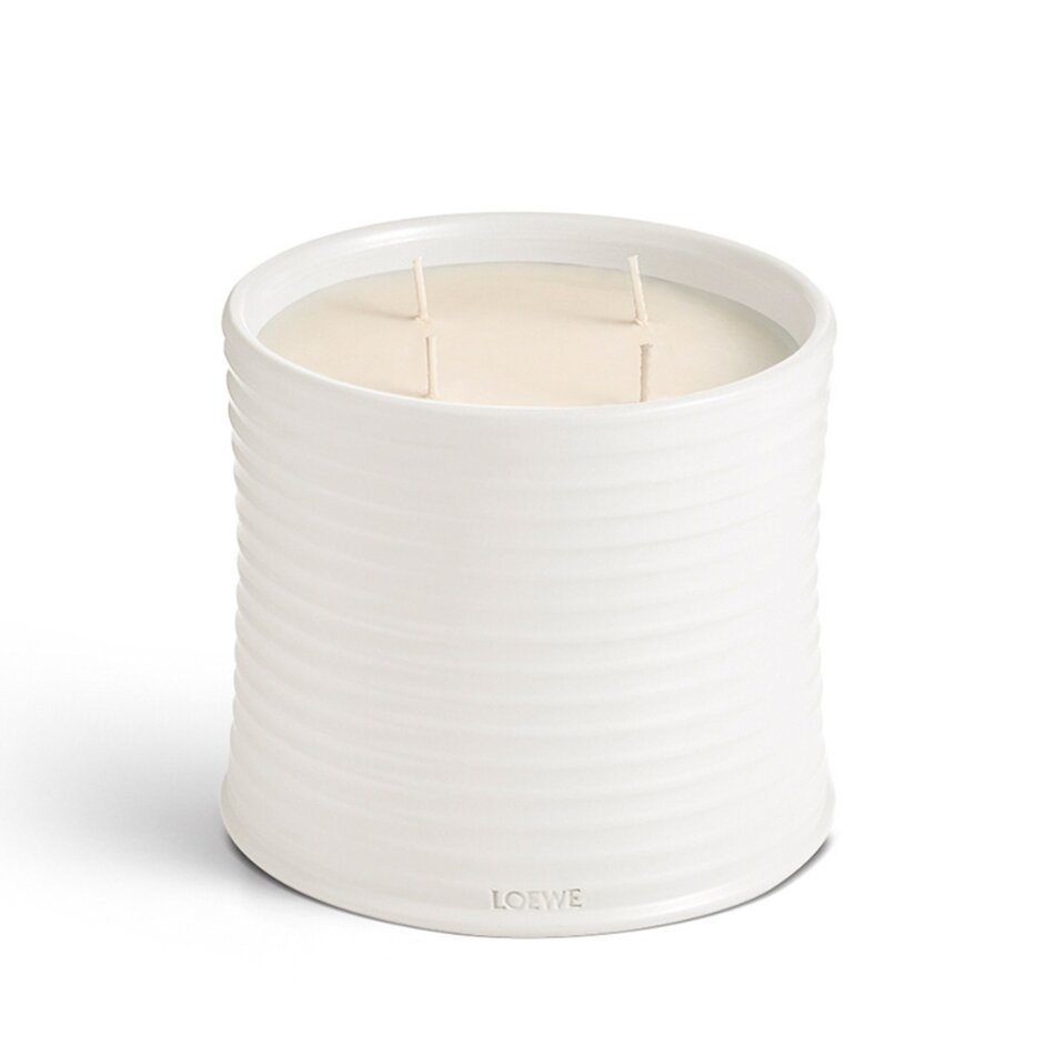 LOEWE Large Oregano Geurkaars LOEWE Large Oregano Geurkaars