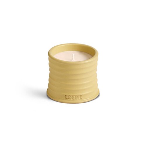 LOEWE Small Honeysuckle Geurkaars