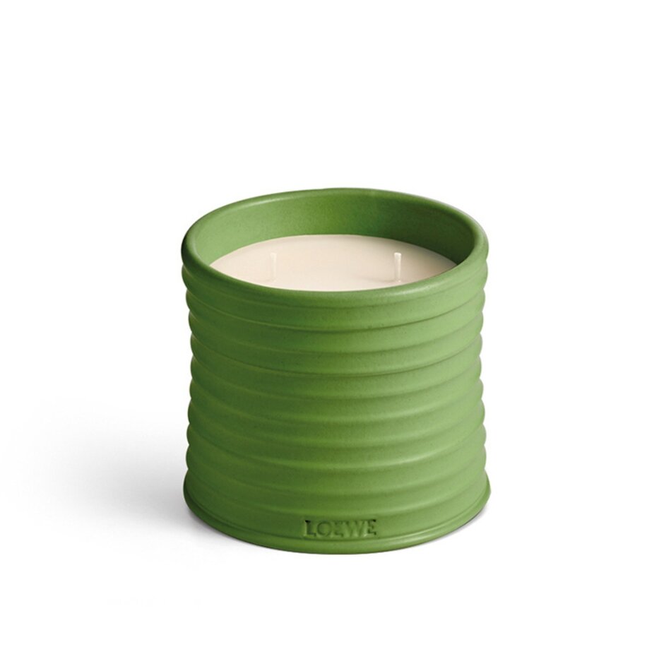 LOEWE Medium Luscious Pea Geurkaars LOEWE Medium Luscious Pea Geurkaars
