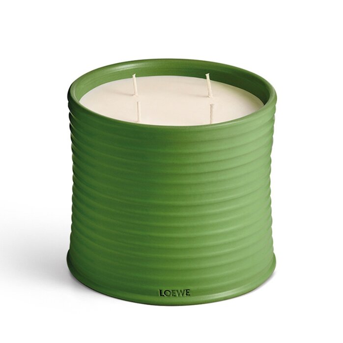 LOEWE Large Luscious Pea Geurkaars LOEWE Large Luscious Pea Geurkaars