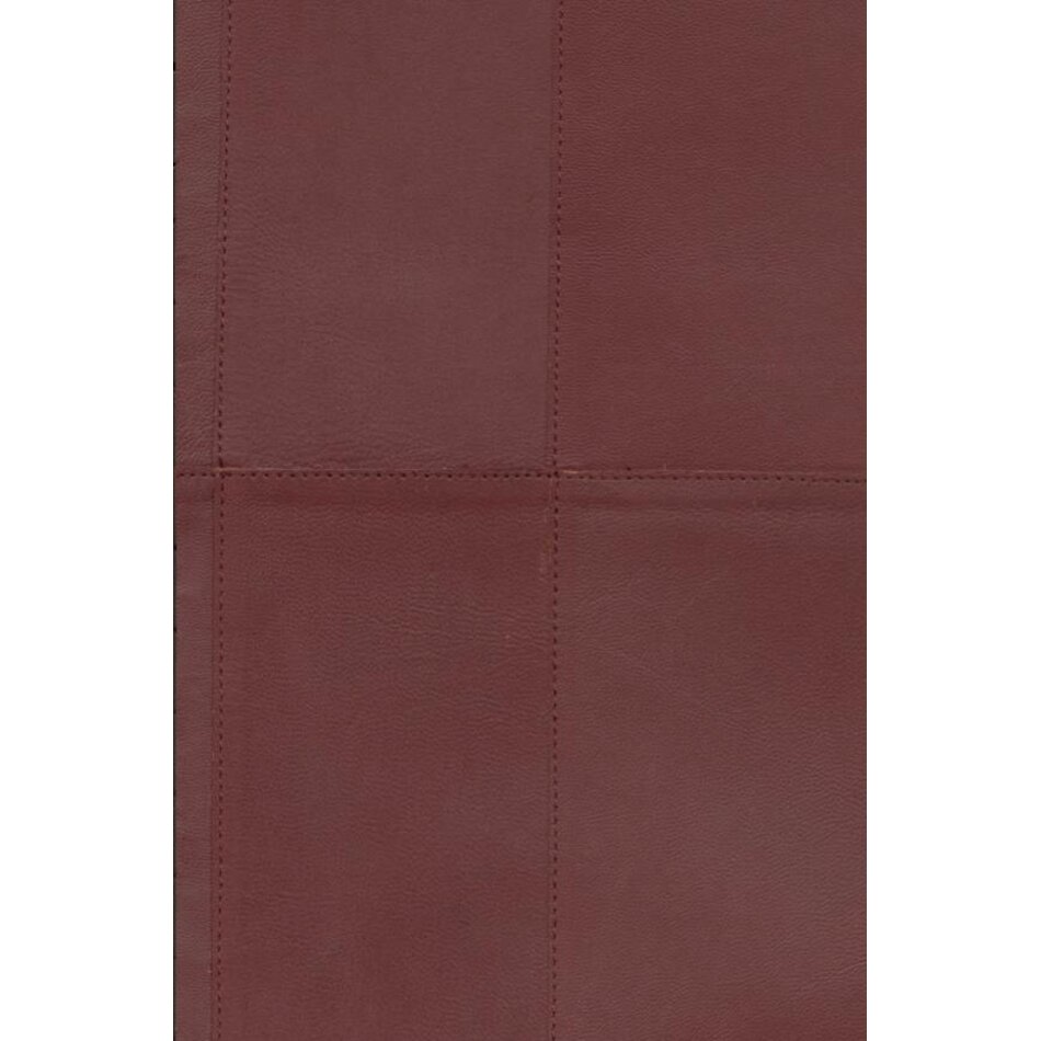 Arte Paladin - Corium Muurbekleding Arte Paladin - Corium Muurbekleding