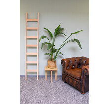 Enkele beuken houten ladder