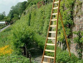 Houten plukladder (driepootladder, fruitladder, of snoeiladder)