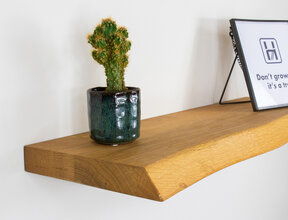 Boomstam wandplank transparant geolied