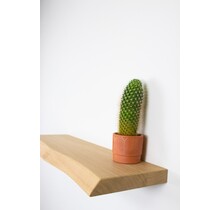 S444 - boom onbehandeld 100 cm