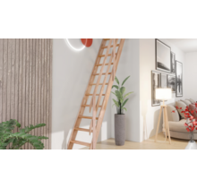 Cottage Ruimtebesparend Beuk 50 cm - 275 cm hoog Bouwpakket