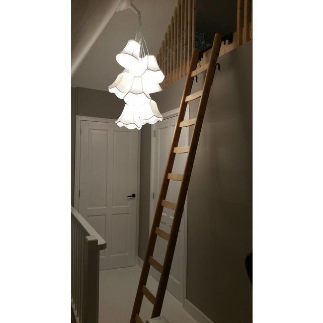 Échelle simple en bois