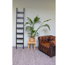 Échelle simple en bois de hêtre