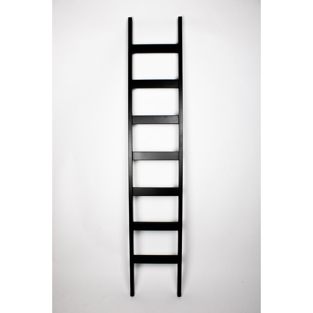 Échelle simple en bois de hêtre