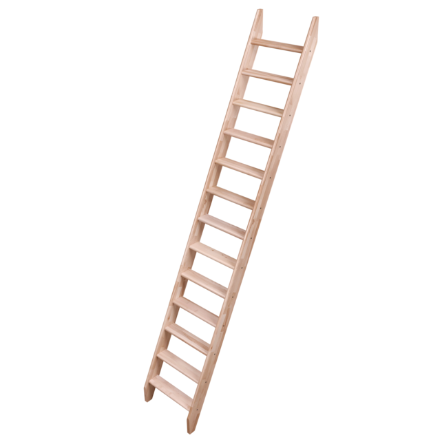 Cottage Premium Hêtre à faible encombrement 50 cm - 275 cm de hauteur Kit de construction