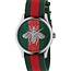 Gucci Watch red green