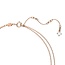 Swarovski Dubbele ketting met hanger