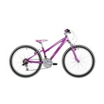 Kinetic 24" Purple