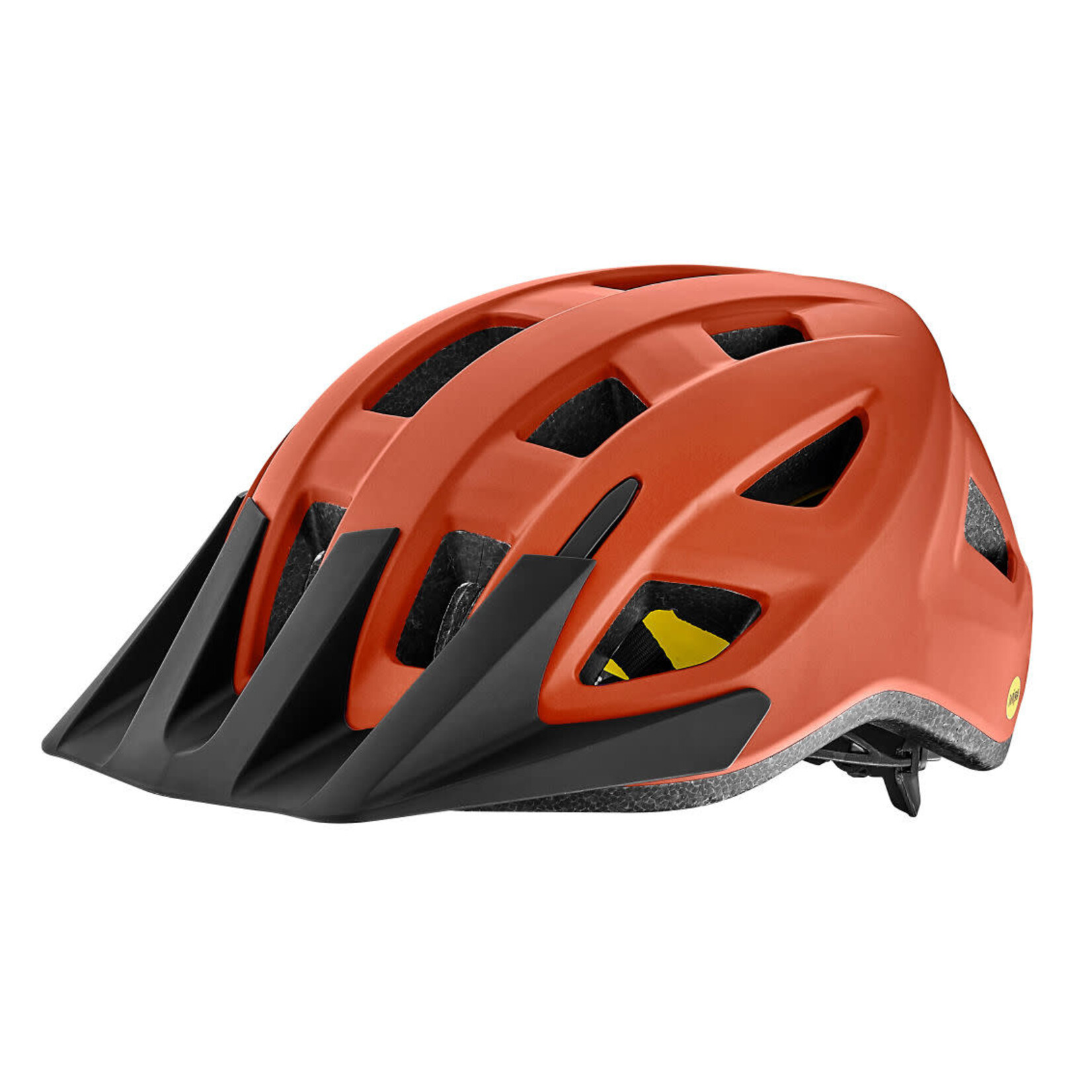 GIANT Path Mips Helmet - Adult