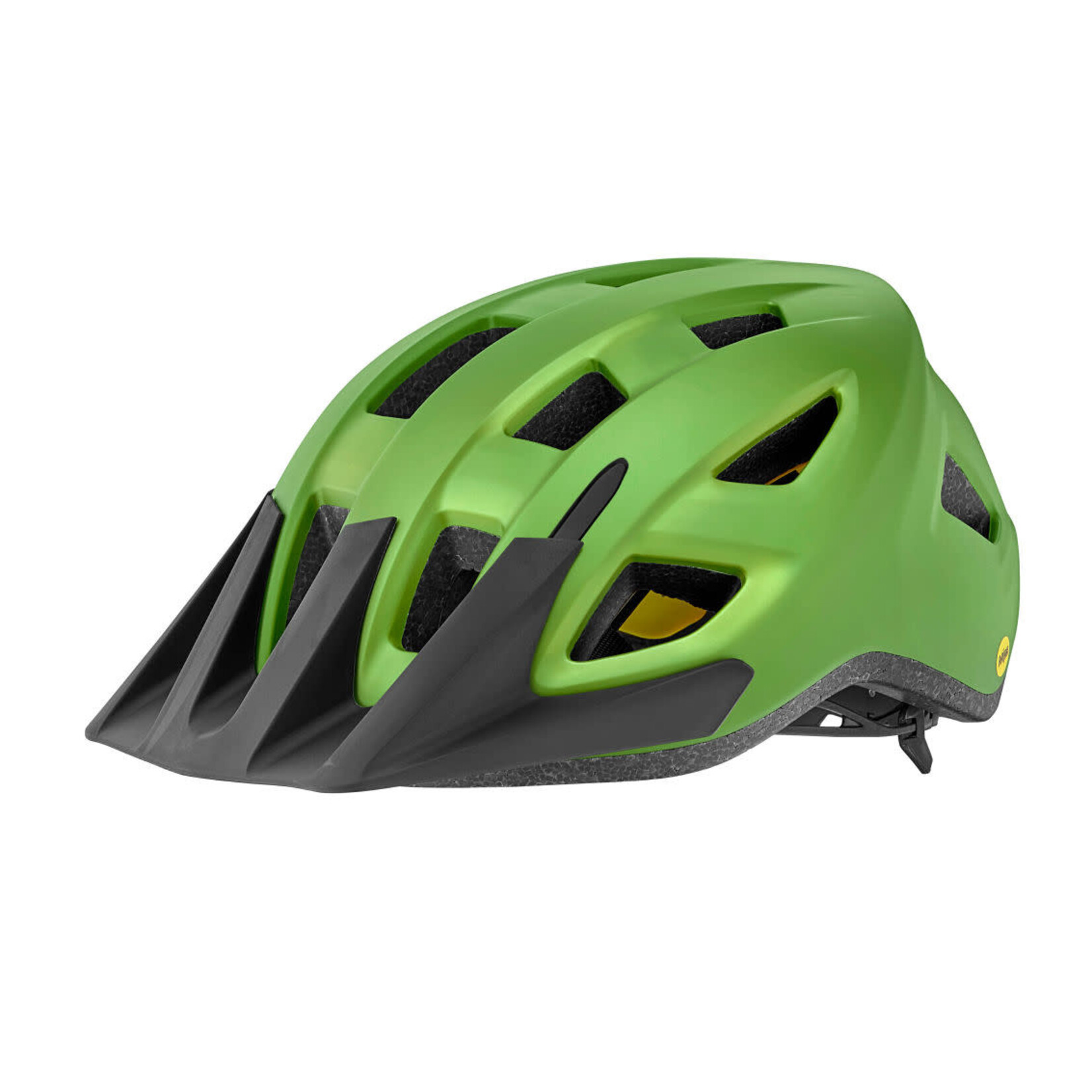 GIANT Path ARX Mips Helmet - Kids