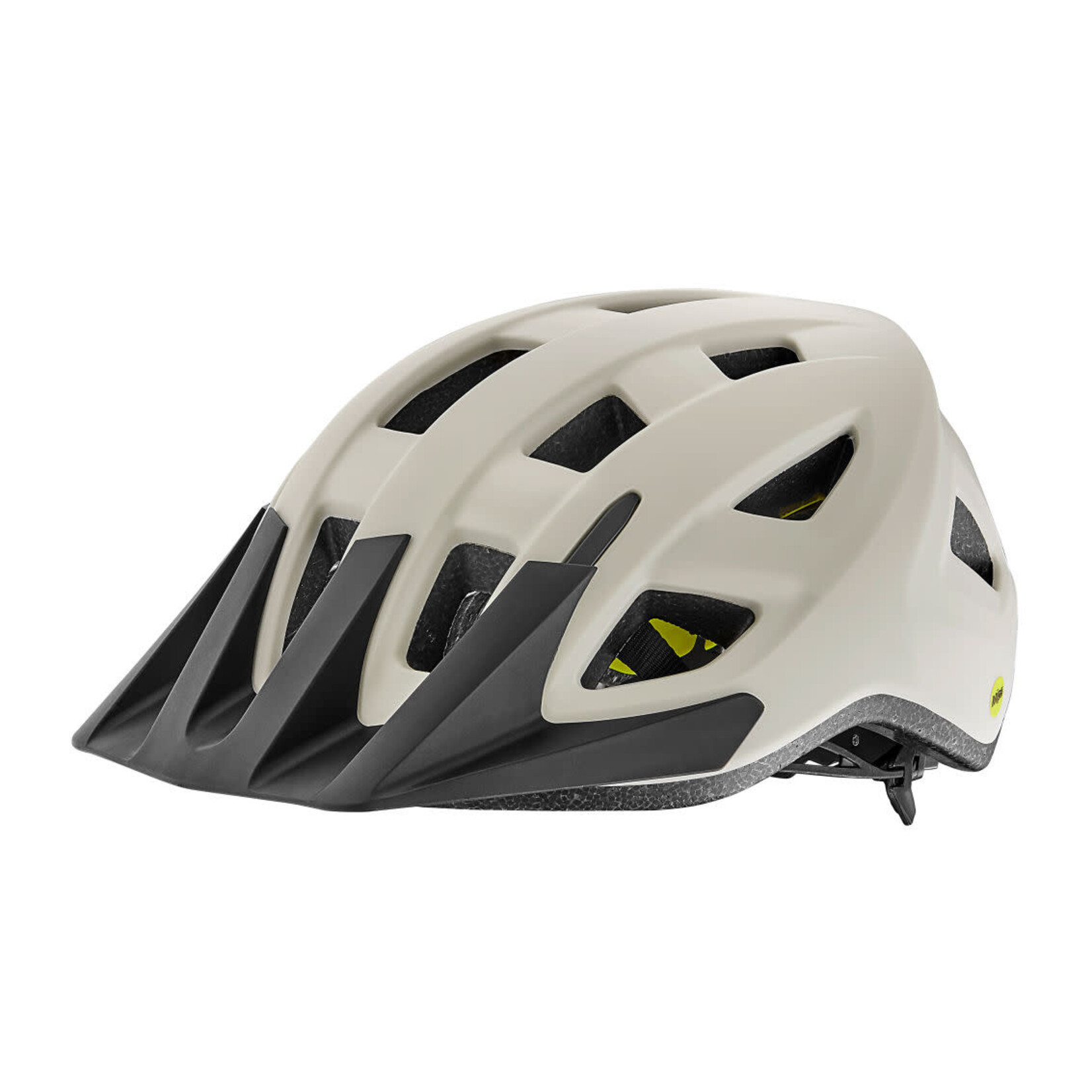 GIANT Path ARX Mips Helmet - Kids