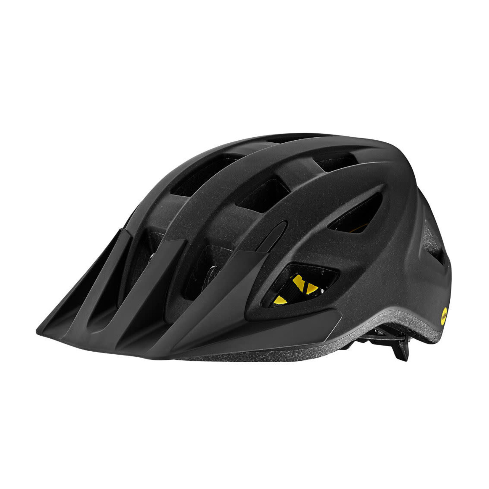 GIANT Path ARX Mips Helmet - Kids