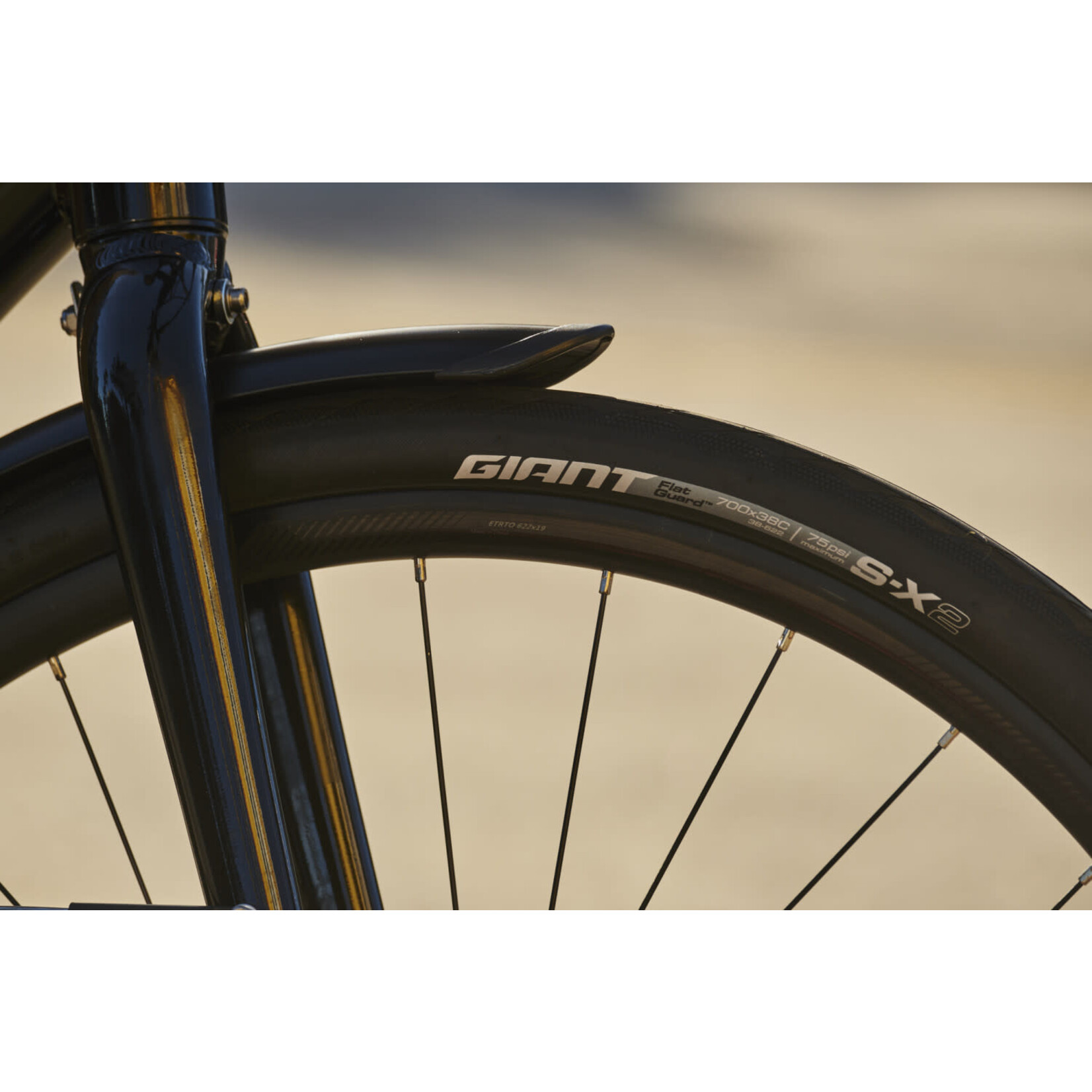 GIANT Escape 2 City Disc Large