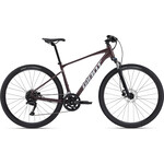 GIANT Roam 2 Disc