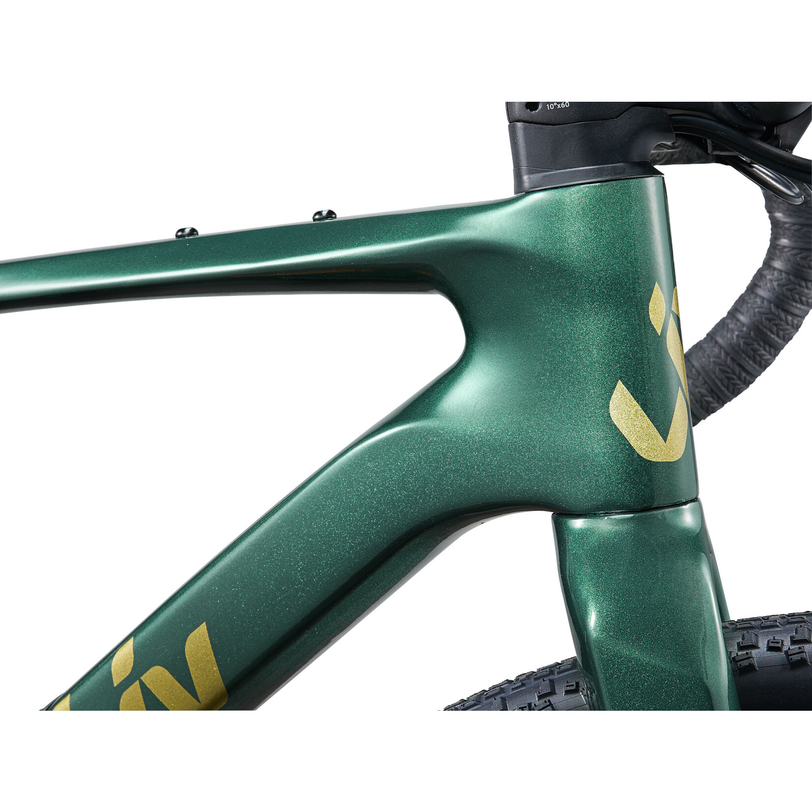 Liv Devote Advanced 2