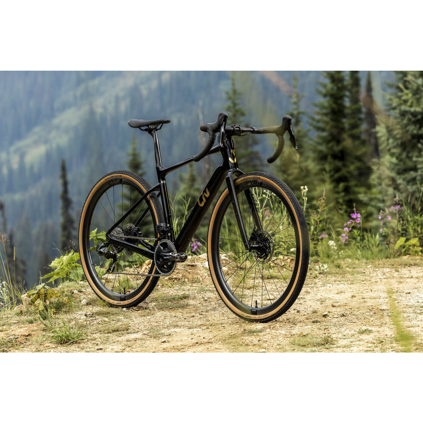 Liv Devote Advanced Pro