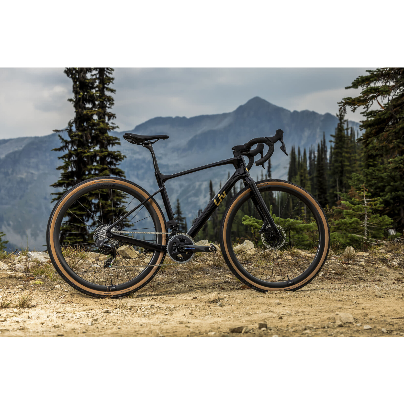 Liv Devote Advanced Pro