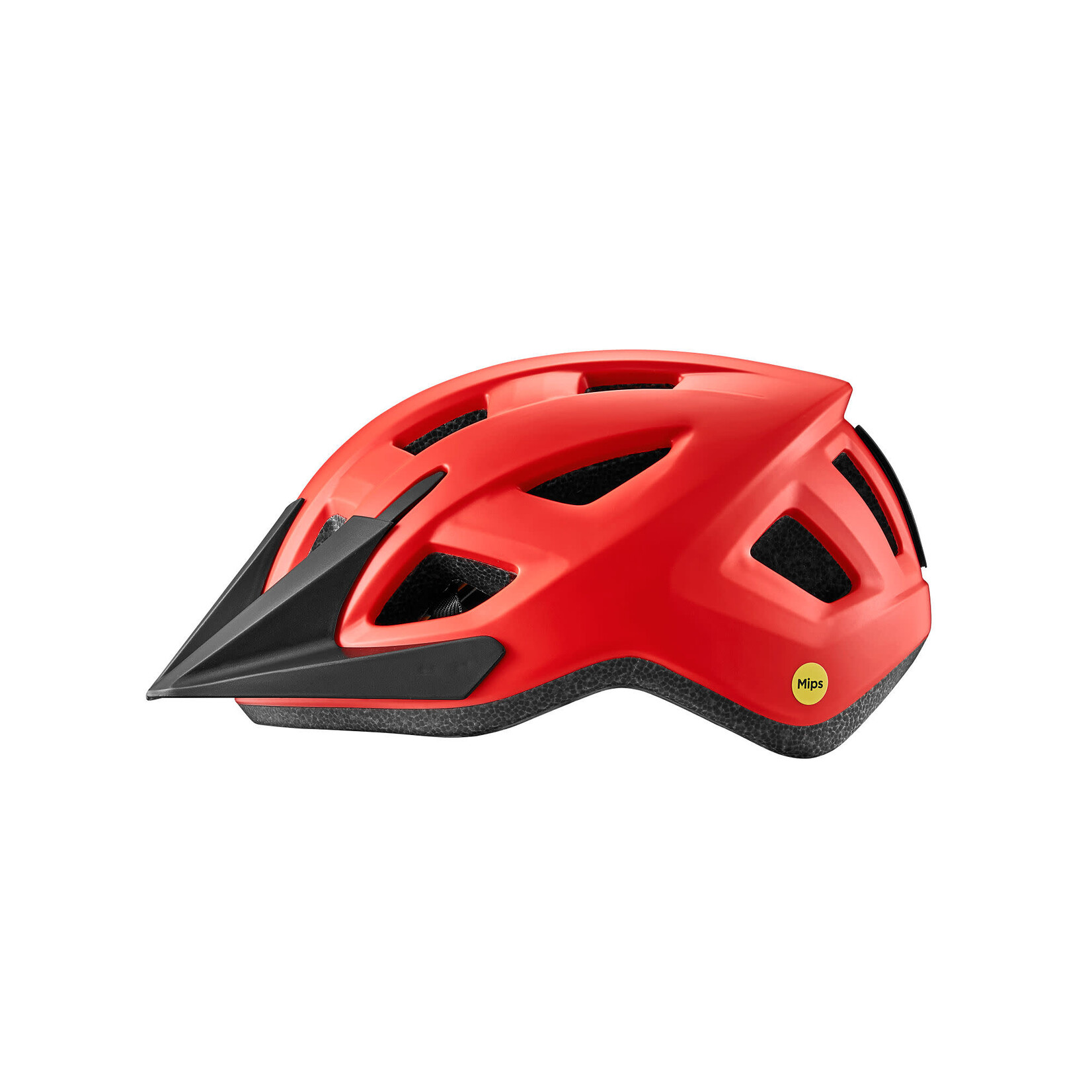 GIANT Path ARX Mips Helmet - Kids