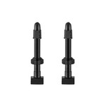 GIANT Tubeless Valve Stem Pair (38mm)