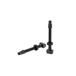 GIANT Tubeless Valve Stem Pair (60mm)