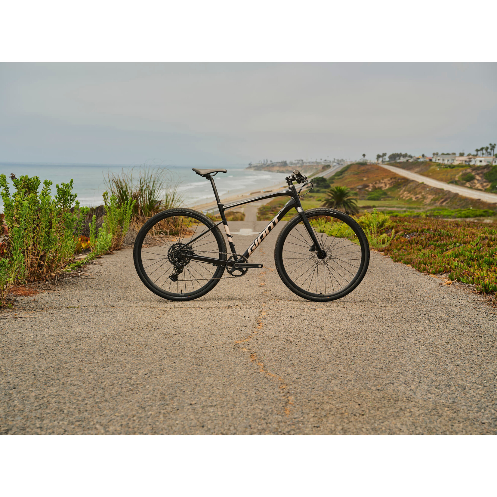 GIANT FastRoad AR 2