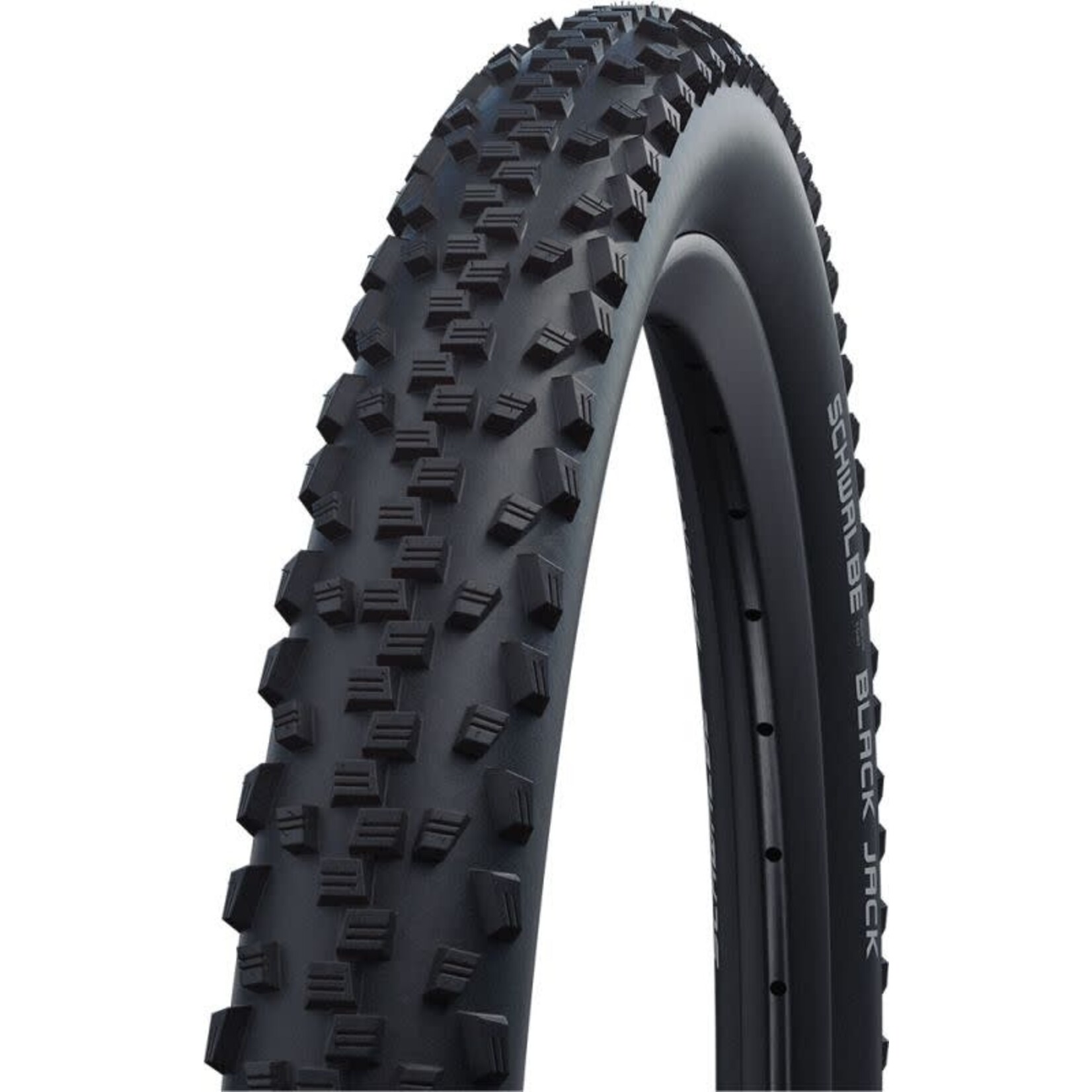 Schwalbe Tyre Black Jack 24x1.90