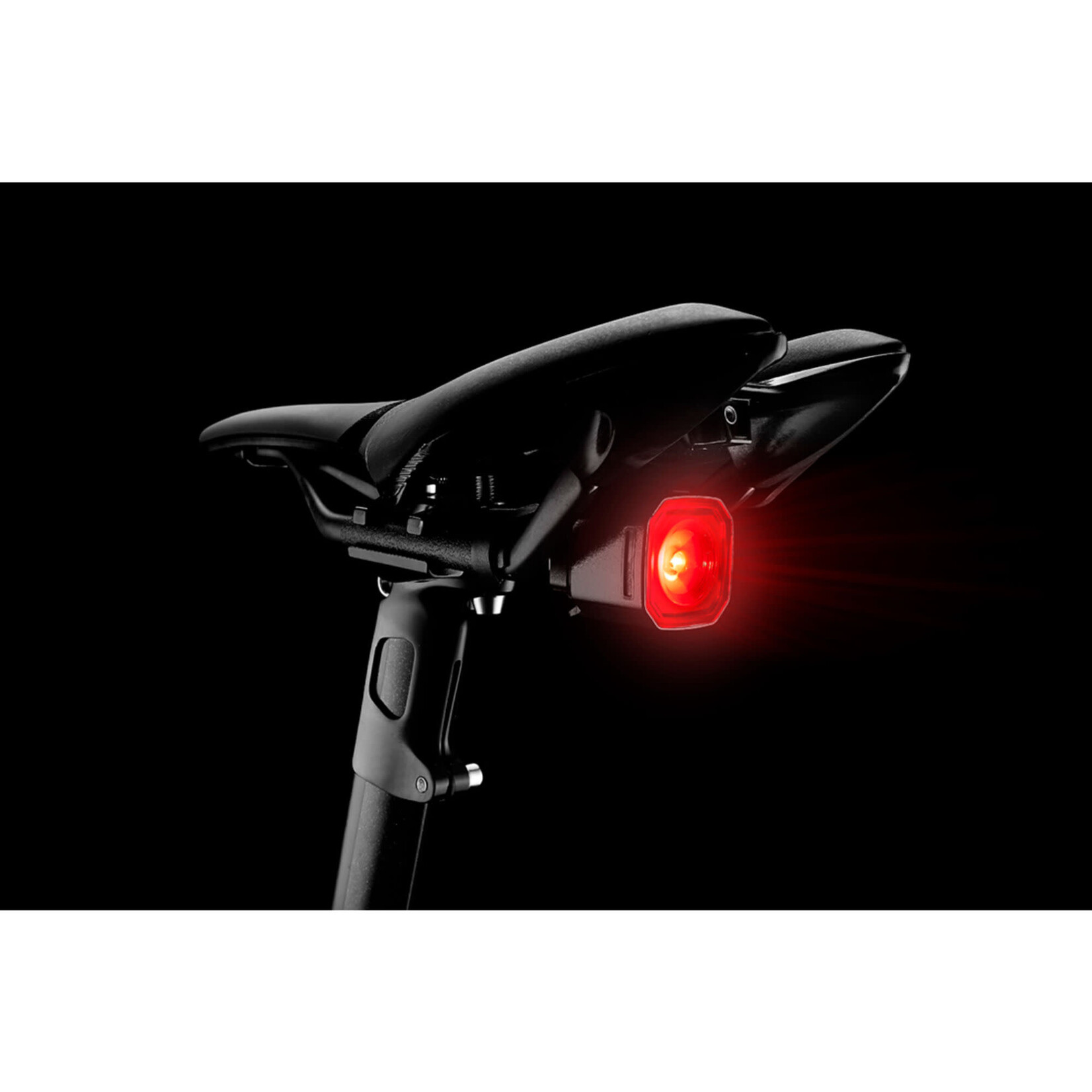 GIANT Recon TL 100 Tail Light