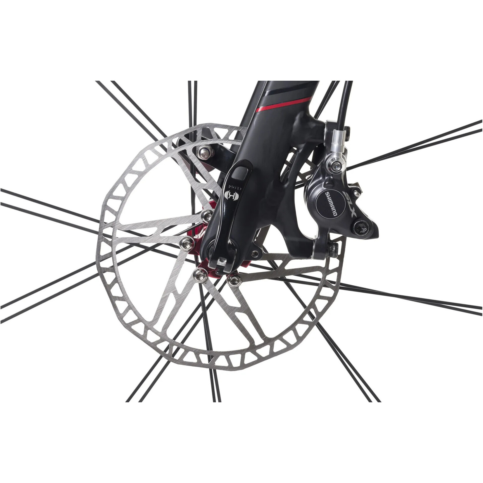 TERN Eclipse X22 The Blackbird