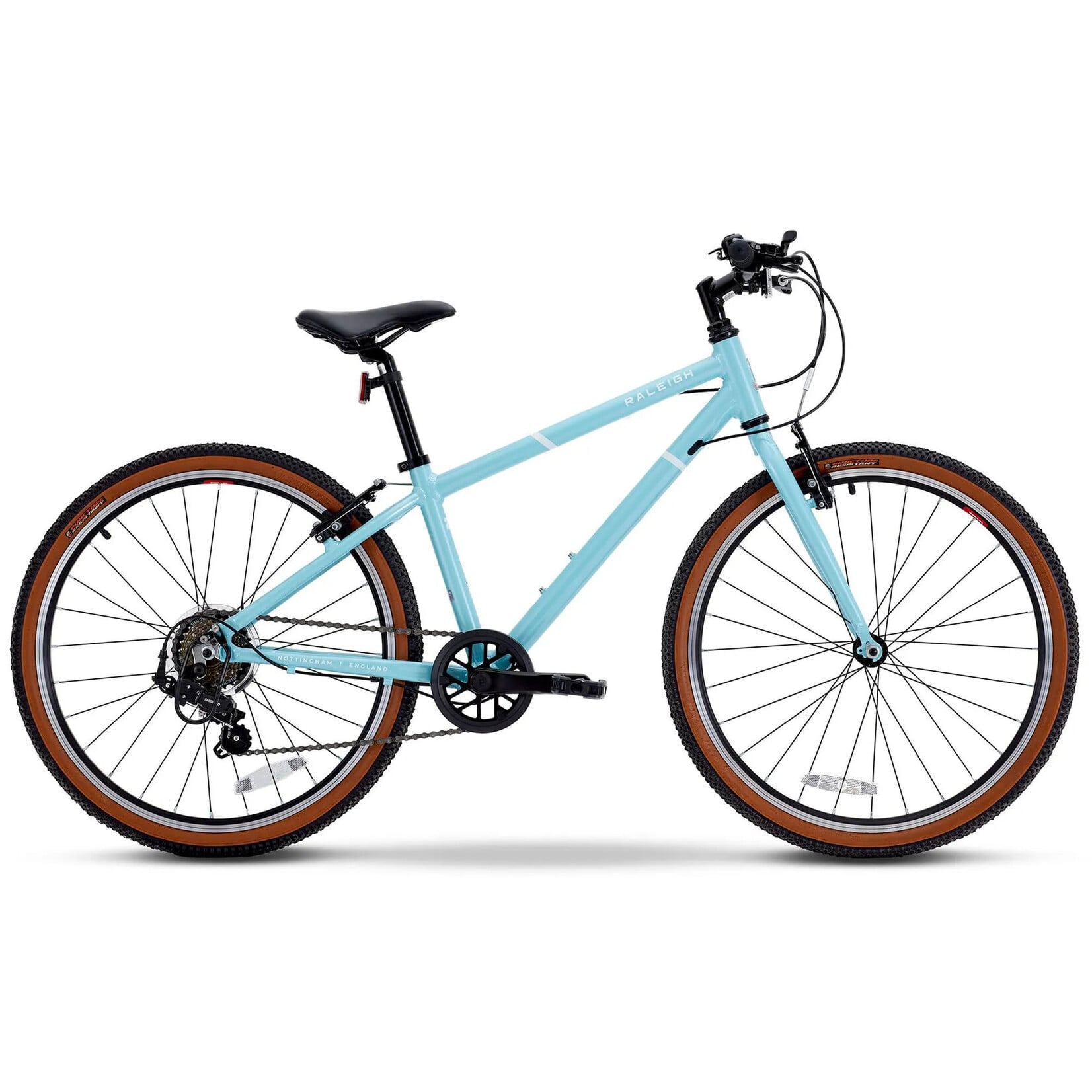 Raleigh Pop 24"