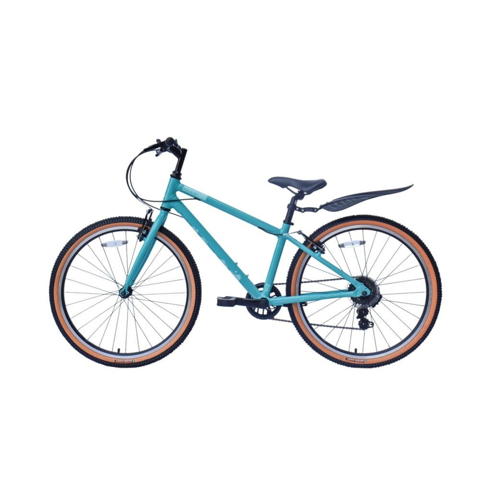 Raleigh Pop 24"