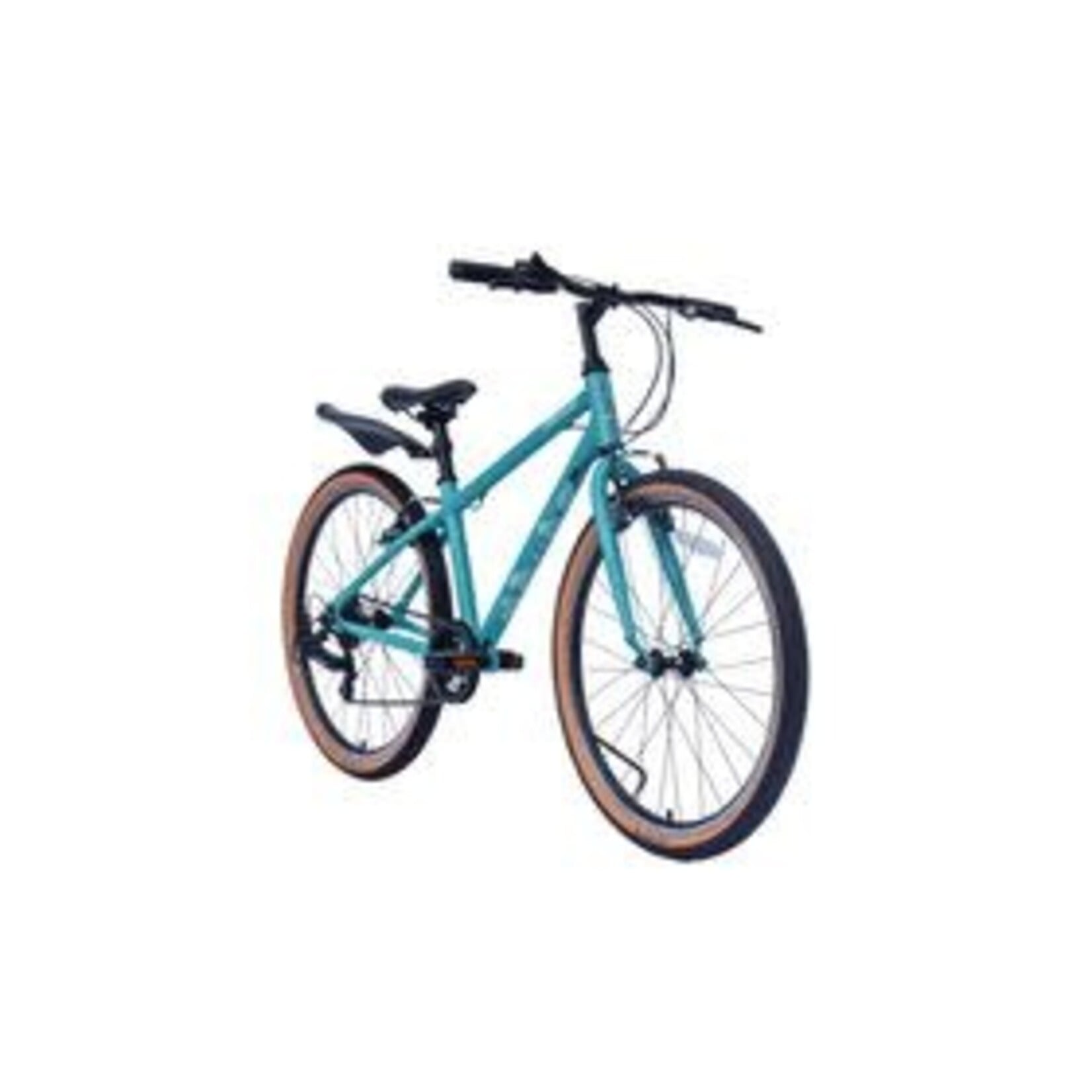 Raleigh Pop 24"