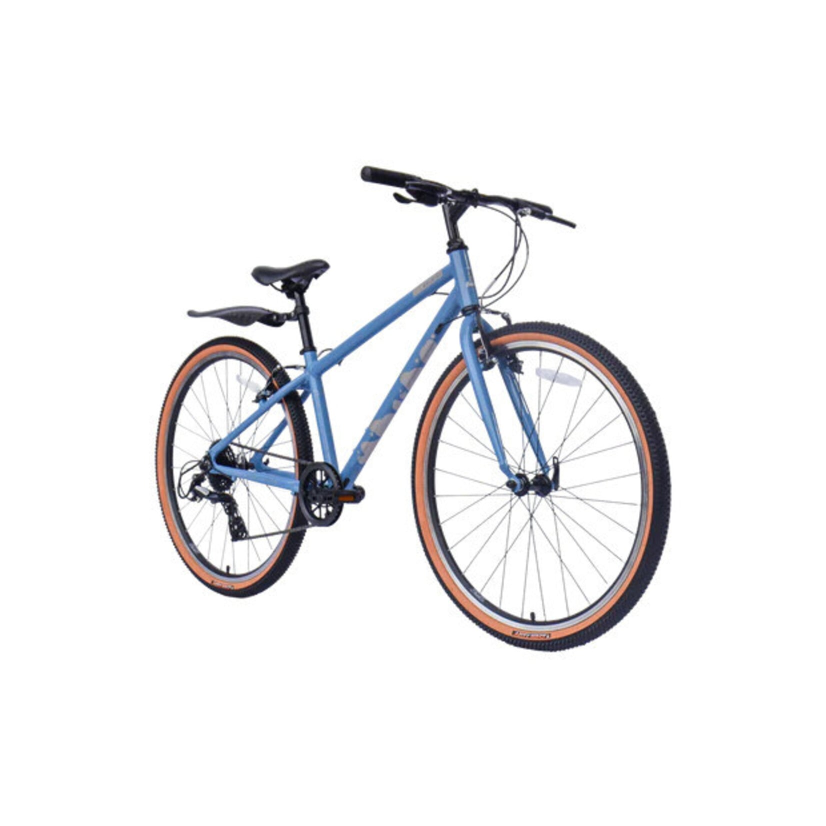 Raleigh Pop 26"