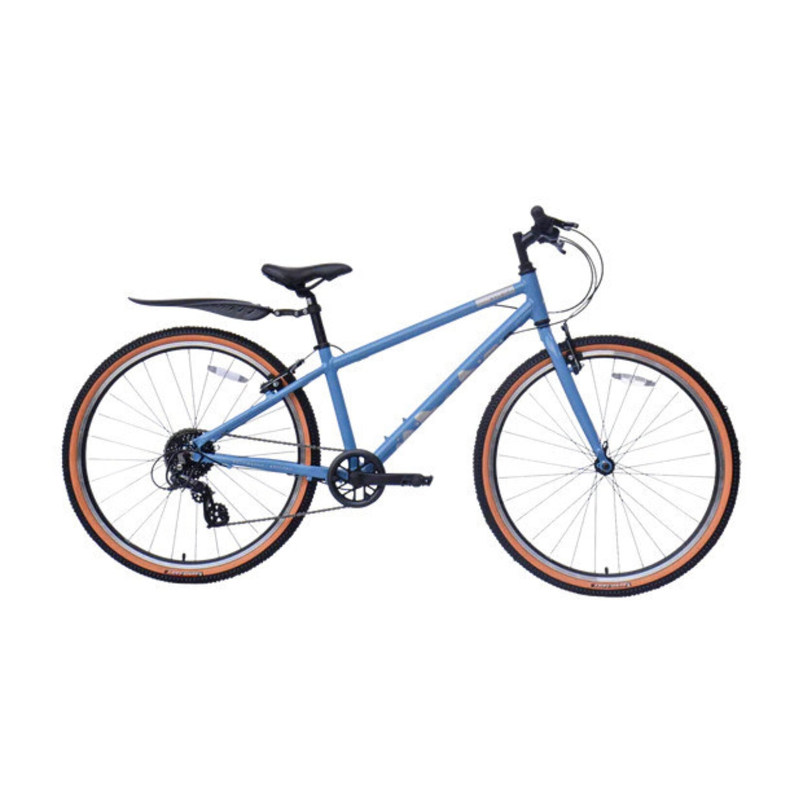 Raleigh Pop 26"
