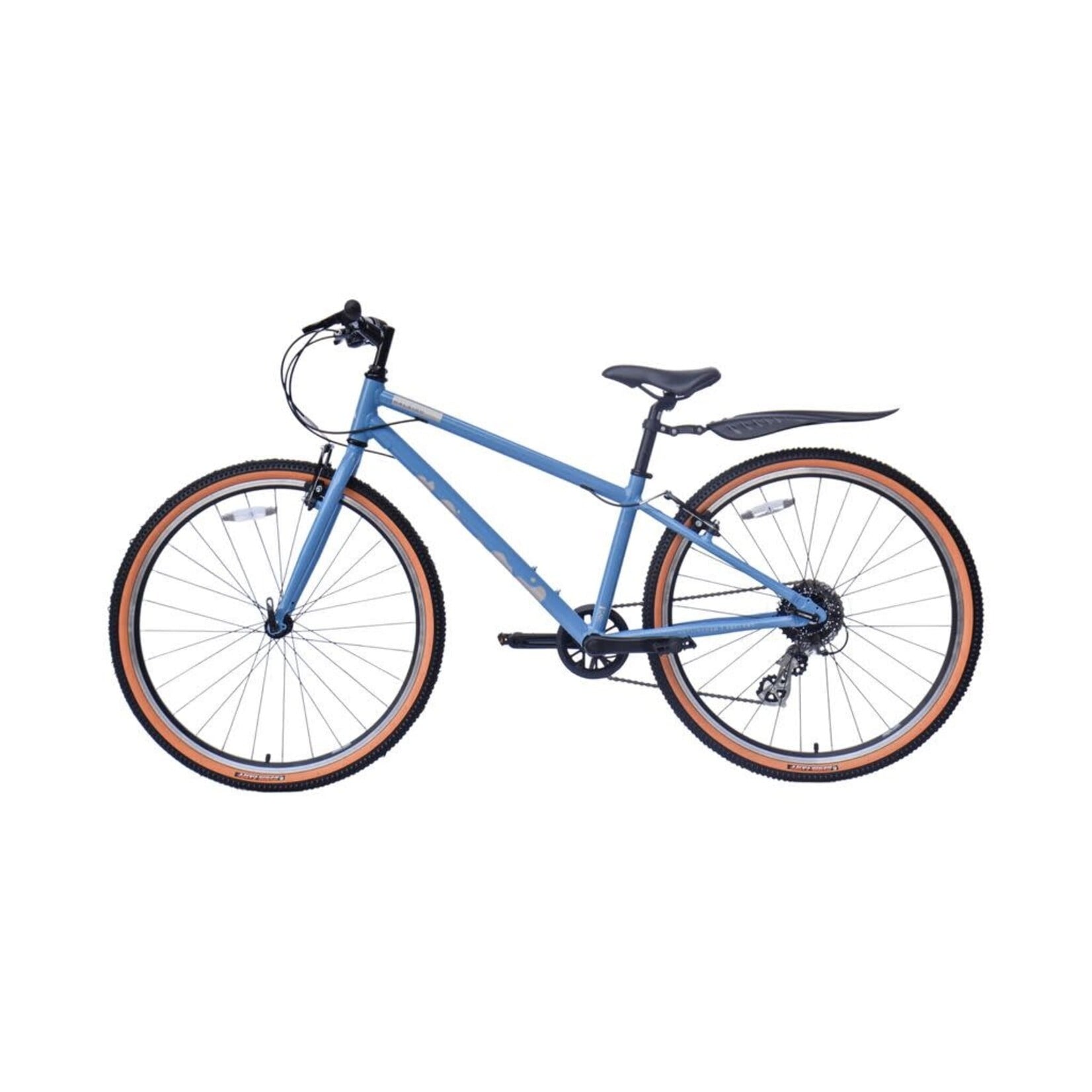 Raleigh Pop 26"
