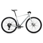 GIANT FastRoad AR 2