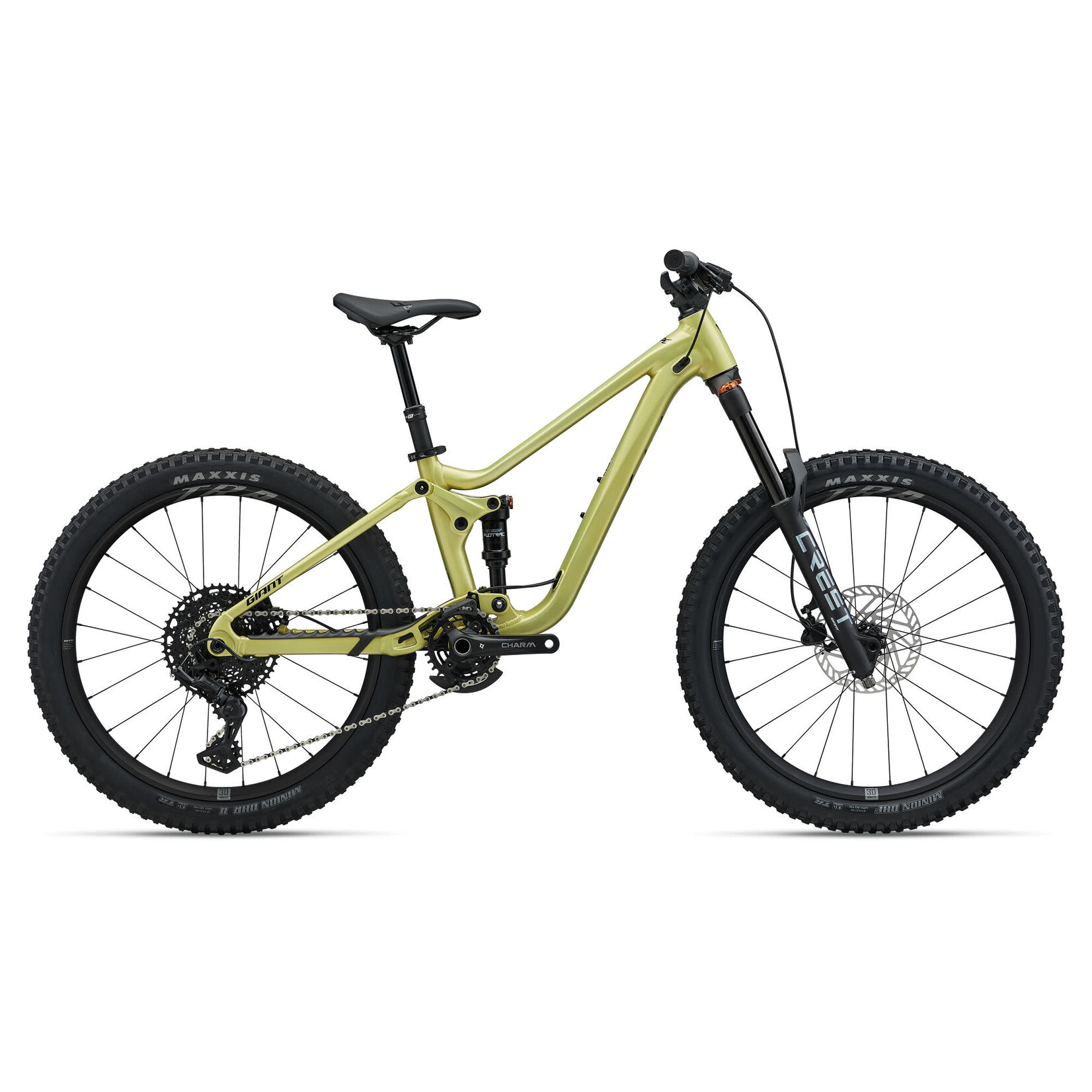 GIANT Faith 24