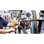 Duff Cycles Free Health Check