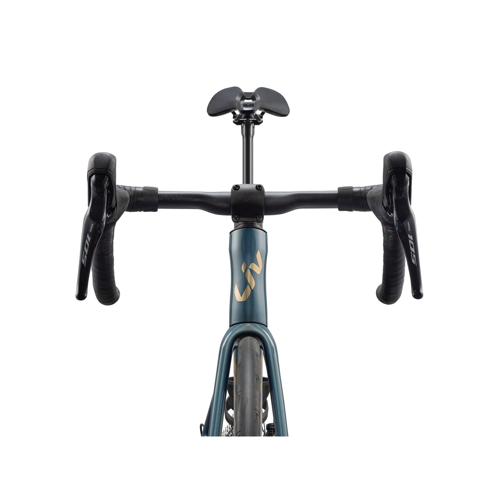 Liv EnviLiv Advanced 2