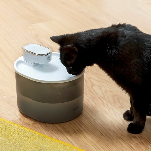 Innovagoods Oplaadbare Waterfontein met Senor voor Katten Refopet afbeelding