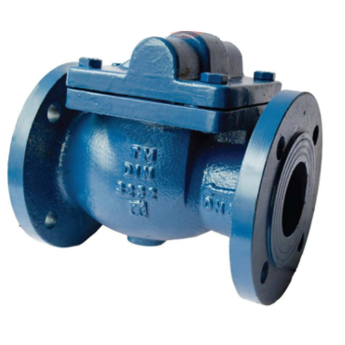 Vescoil International Swing Check Valve PN16