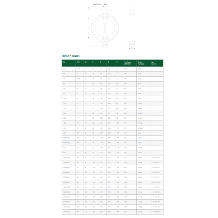 Butterfly Valve Wafer